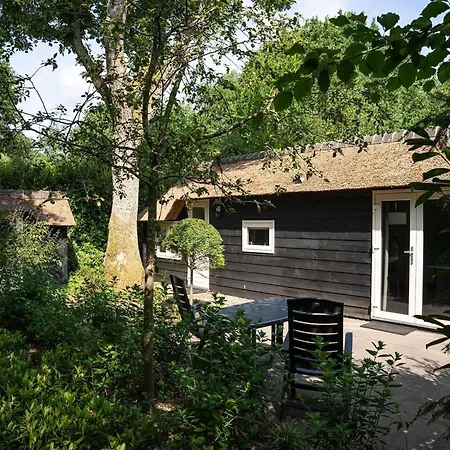 In Veluwe Near Speulderbos Forest Tatil Evi