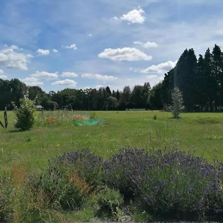 For 6 In Near Nature Park Holiday home *