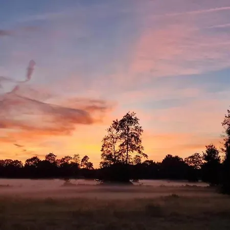 In Veluwe Near Speulderbos Forest