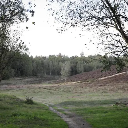 In Veluwe Near Speulderbos Forest