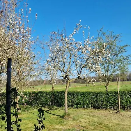 Holiday home For 6 In Near Nature Park *
