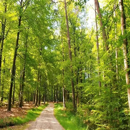 For 6 In Near Nature Park