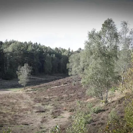 For 6 In Near Nature Park Holiday home *
