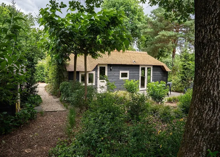 In Veluwe Near Speulderbos Forest