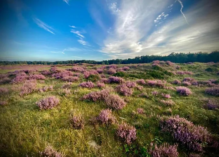 In Veluwe Near Speulderbos Forest Сasa de vacaciones Ermelo