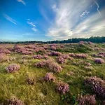 In Veluwe Near Speulderbos Forest Дом отдыха Эрмело
