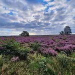 In Veluwe Near Speulderbos Forest Эрмело