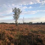 Дом отдыха In Veluwe Near Speulderbos Forest