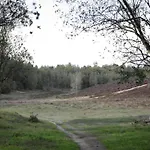 In Veluwe Near Speulderbos Forest