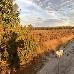 Дом отдыха In Veluwe Near Speulderbos Forest