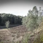 In Veluwe Near Speulderbos Forest Дом отдыха *