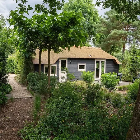 In Veluwe Near Speulderbos Forest