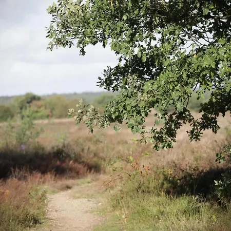 Ferienhaus In Veluwe Near Speulderbos Forest