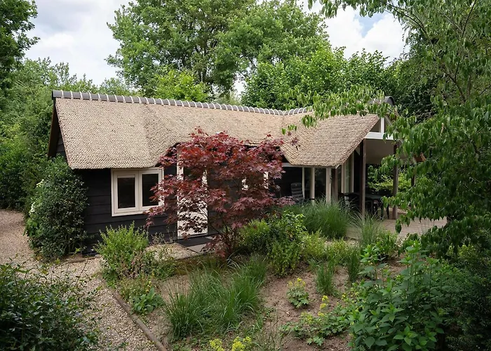 Ferienhaus In Veluwe Near Speulderbos Forest