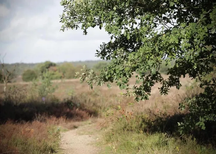 Ferienhaus In Veluwe Near Speulderbos Forest