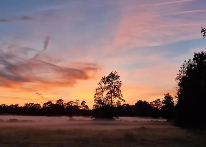 In Veluwe Near Speulderbos Forest