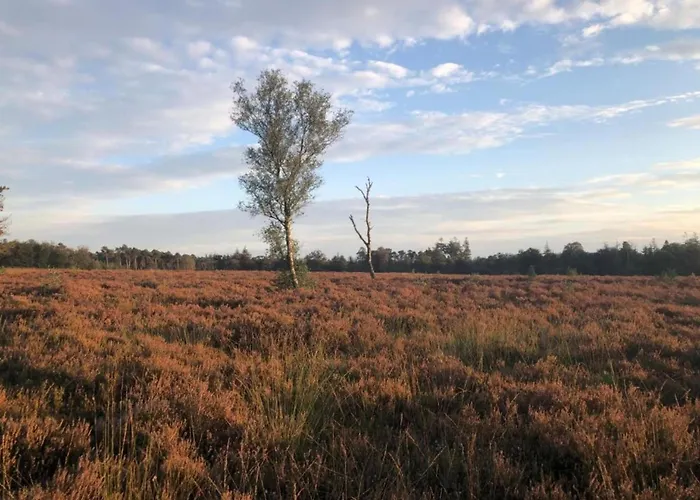 Ferienhaus In Veluwe Near Speulderbos Forest