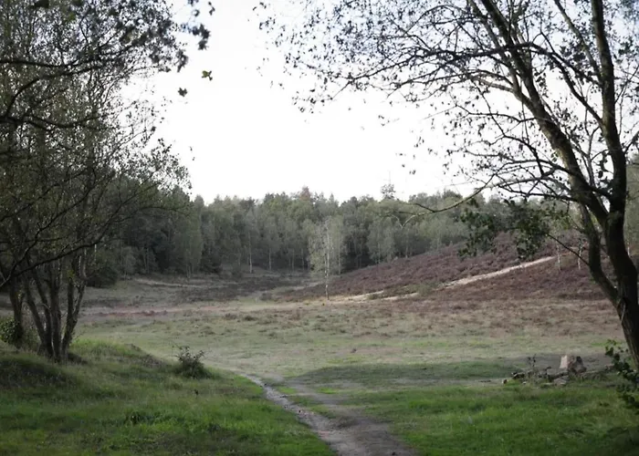 In Veluwe Near Speulderbos Forest
