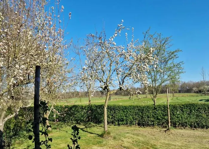 Ferienhaus In Veluwe Near Speulderbos Forest *