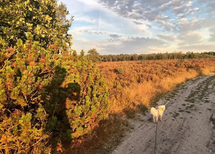 Ferienhaus In Veluwe Near Speulderbos Forest